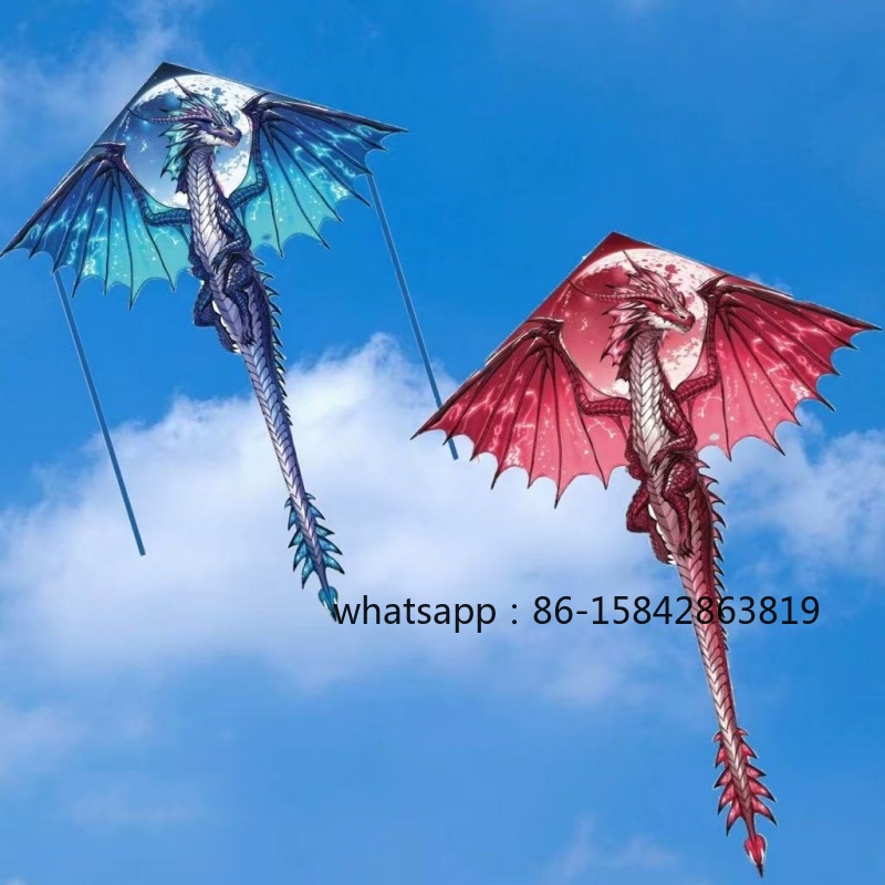 Kite Wind Outdoor - ว่าวรูปสัตว์ปีกยกระยองแบบใหม่ ว่าวมืออาชีพ ว่าวลมแรง ของเล่นกลางแจ้ง ของเล่นกีฬาและสันทนาการสำหรับเด็กผู้ชาย น้ำยาทำความสะอาดมือ