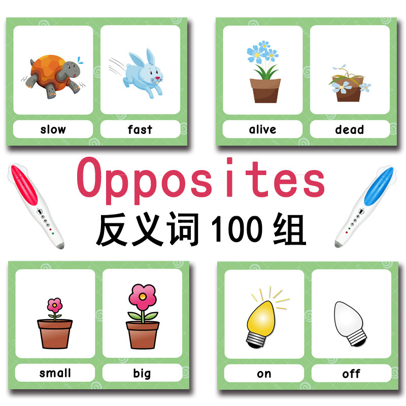 แฟลชการ์ดคำศัพท์ภาษาอังกฤษ 100 - Kids Toys Usa บทวิจารณ์และราคา
