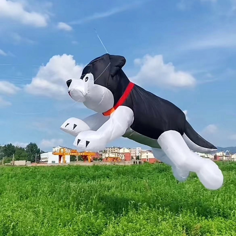 Giant kites Flying Inflatable  - Kite Wind Outdoor บทวิจารณ์และราคา