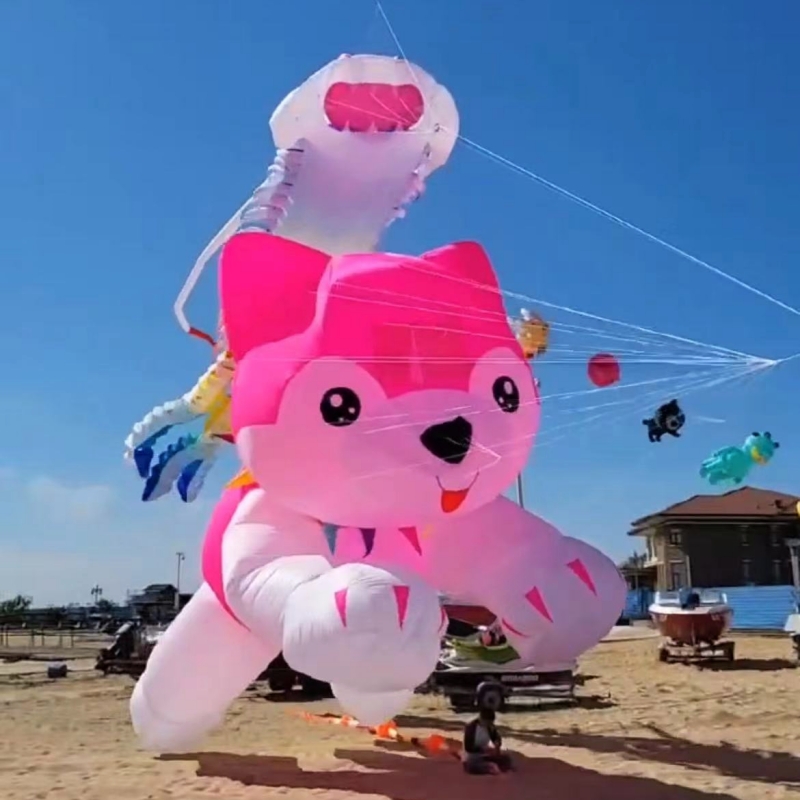 Giant kites Flying Inflatable  - Kite Wind Outdoor บทวิจารณ์และราคา