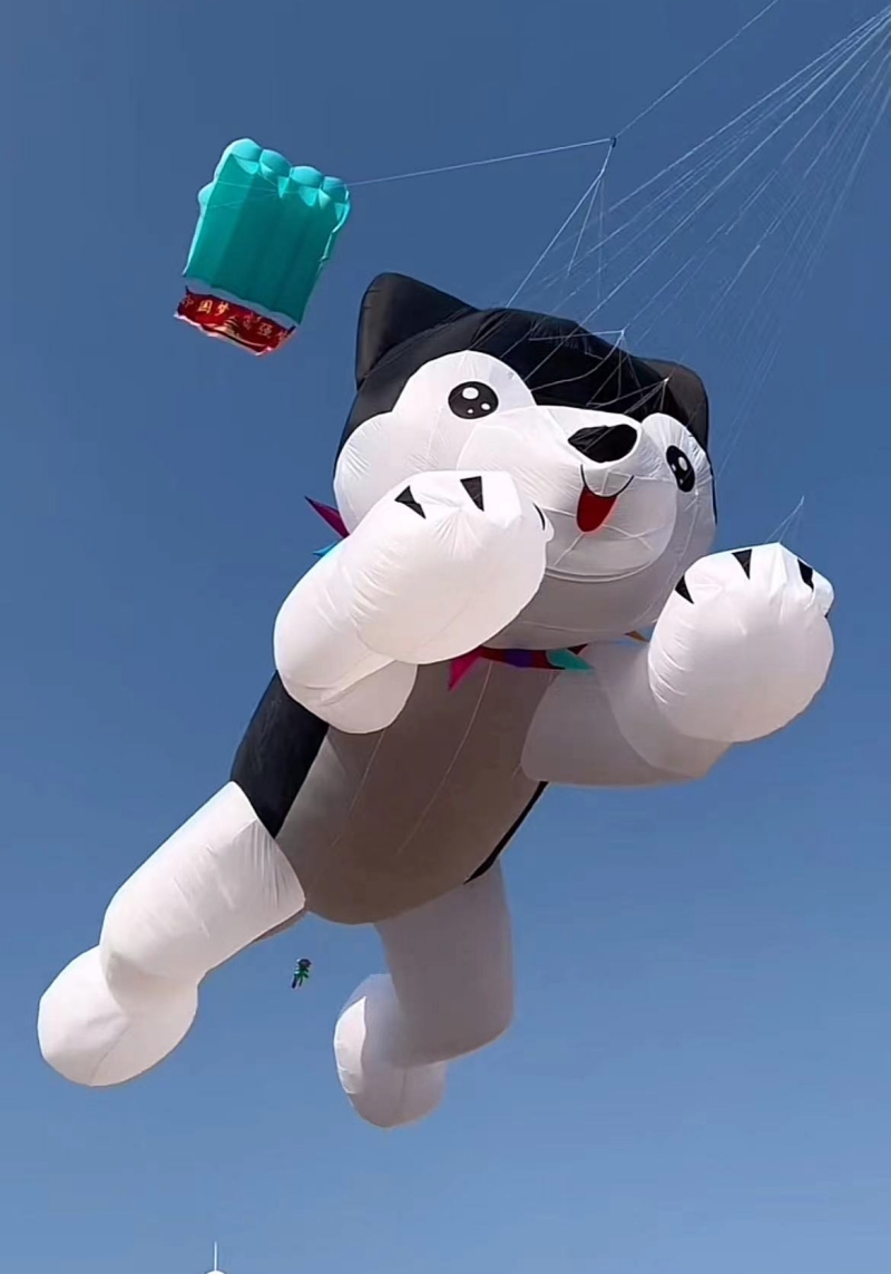 Giant kites Flying Inflatable  - Kite Wind Outdoor บทวิจารณ์และราคา