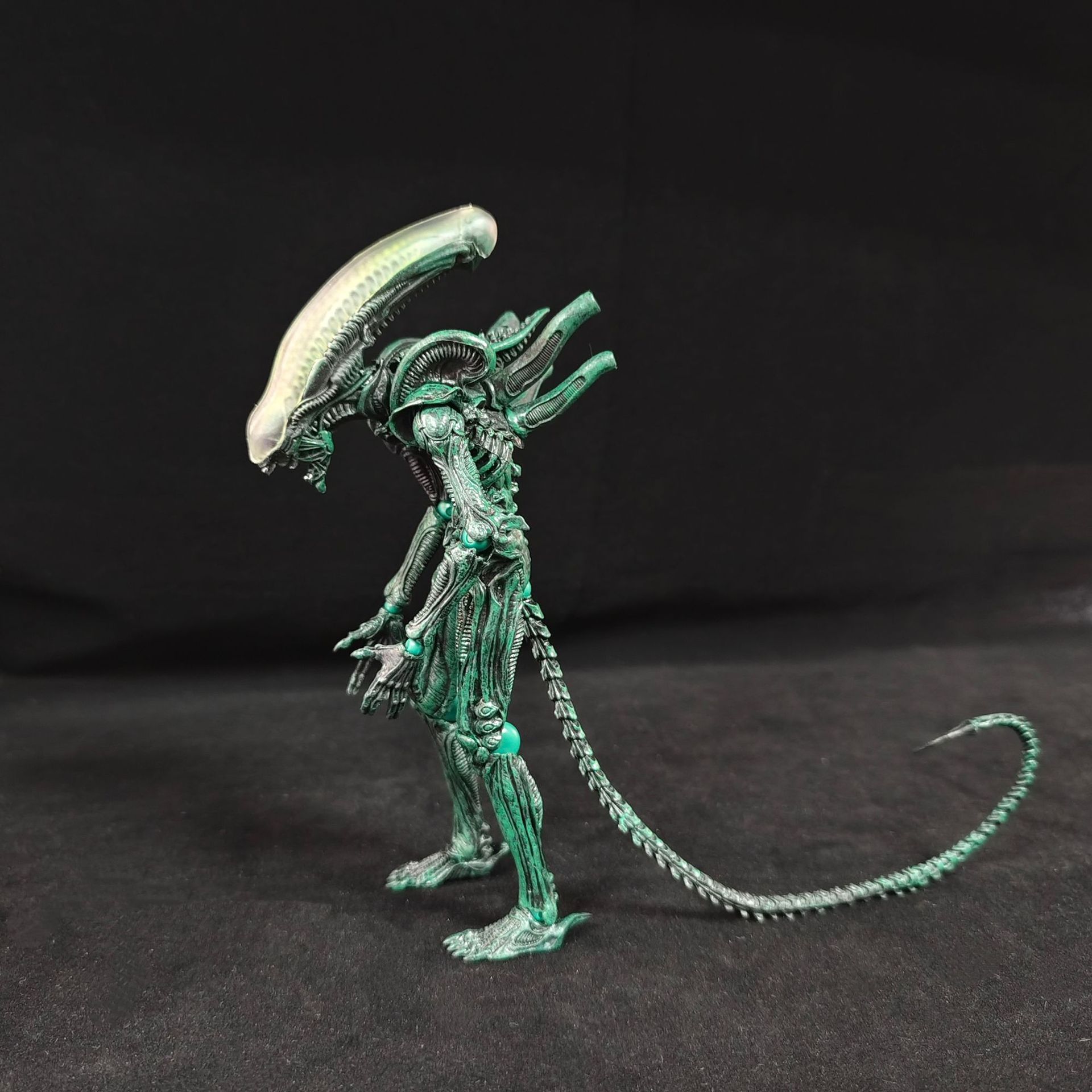 ฟิกเกอร์อนิเมะเอเลี่ยนแบบกล่อง - Xenomorph Kids Toys บทวิจารณ์และราคา