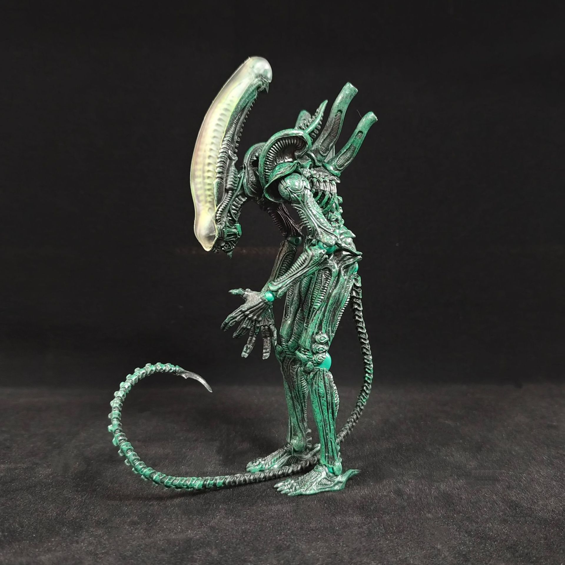 ฟิกเกอร์อนิเมะเอเลี่ยนแบบกล่อง - Xenomorph Kids Toys บทวิจารณ์และราคา