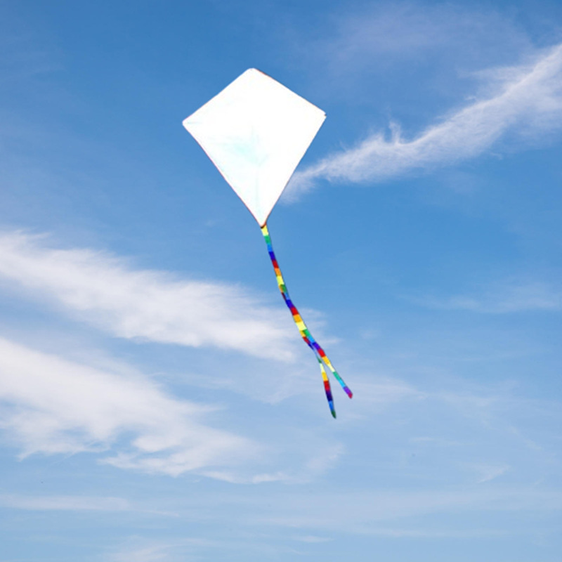 ว่าว DIY 2 ชิ้น ทำจากผ้าไนลอน  - Kite Wind Outdoor บทวิจารณ์และราคา