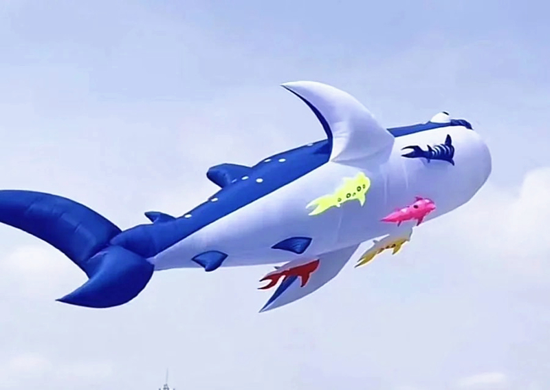 10 M Killer WHALE Multi-สีผ้า  - Kite Wind Outdoor บทวิจารณ์และราคา