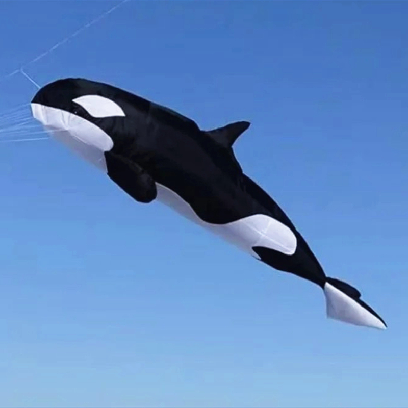 10 M Killer WHALE Multi-สีผ้า  - Kite Wind Outdoor บทวิจารณ์และราคา